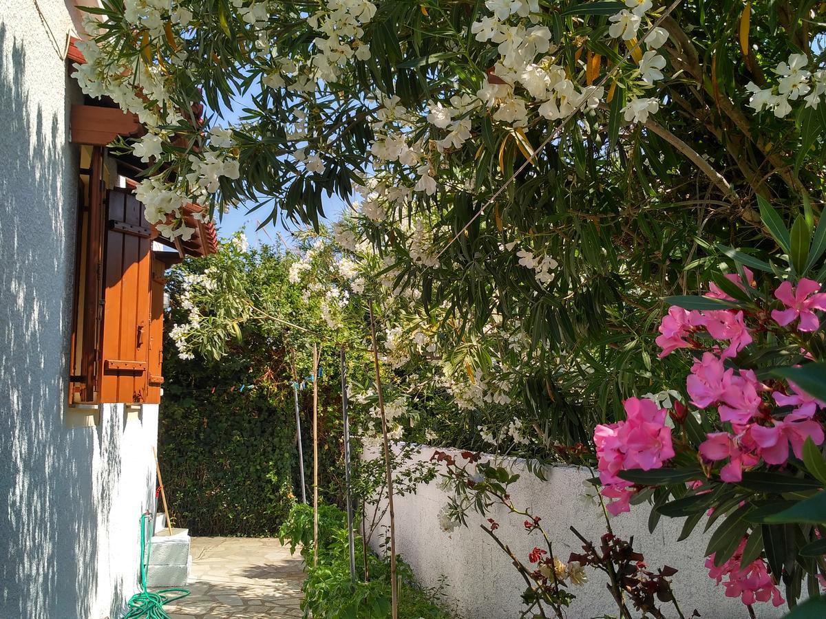 Kyriaki Hotell Skopelos stad Exteriör bild