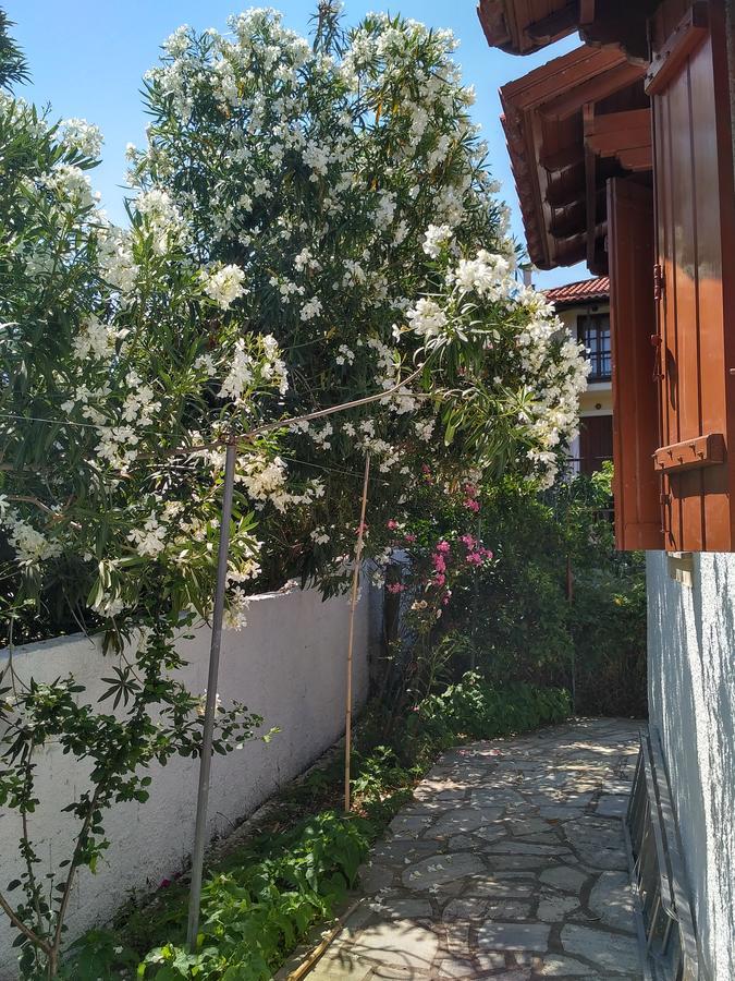 Kyriaki Hotell Skopelos stad Exteriör bild