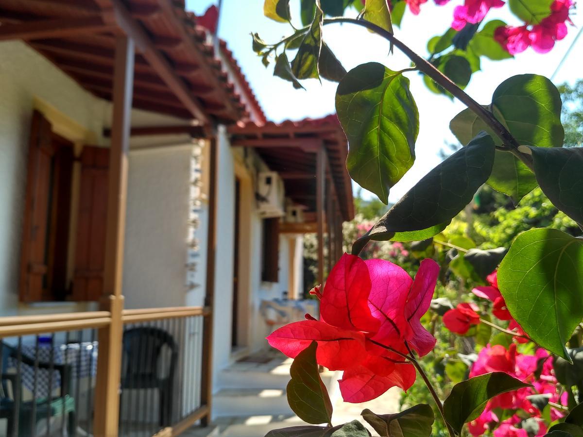 Kyriaki Hotell Skopelos stad Exteriör bild