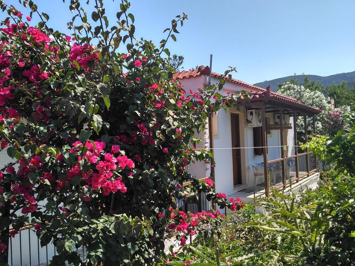 Kyriaki Hotell Skopelos stad Exteriör bild